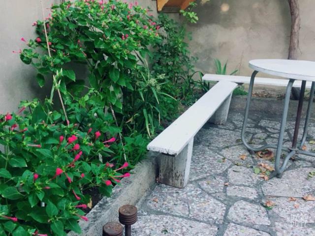Family Guesthouse - Macharashvili Tbilisi ภายนอก รูปภาพ